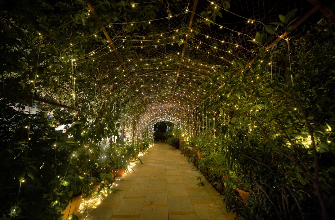 A fairy-lit garden walkway at night